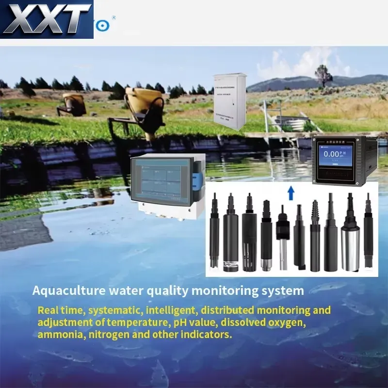 XXT Digital Water Quality Test - đánh giá và giá Ph Meter Digital Water Tester
